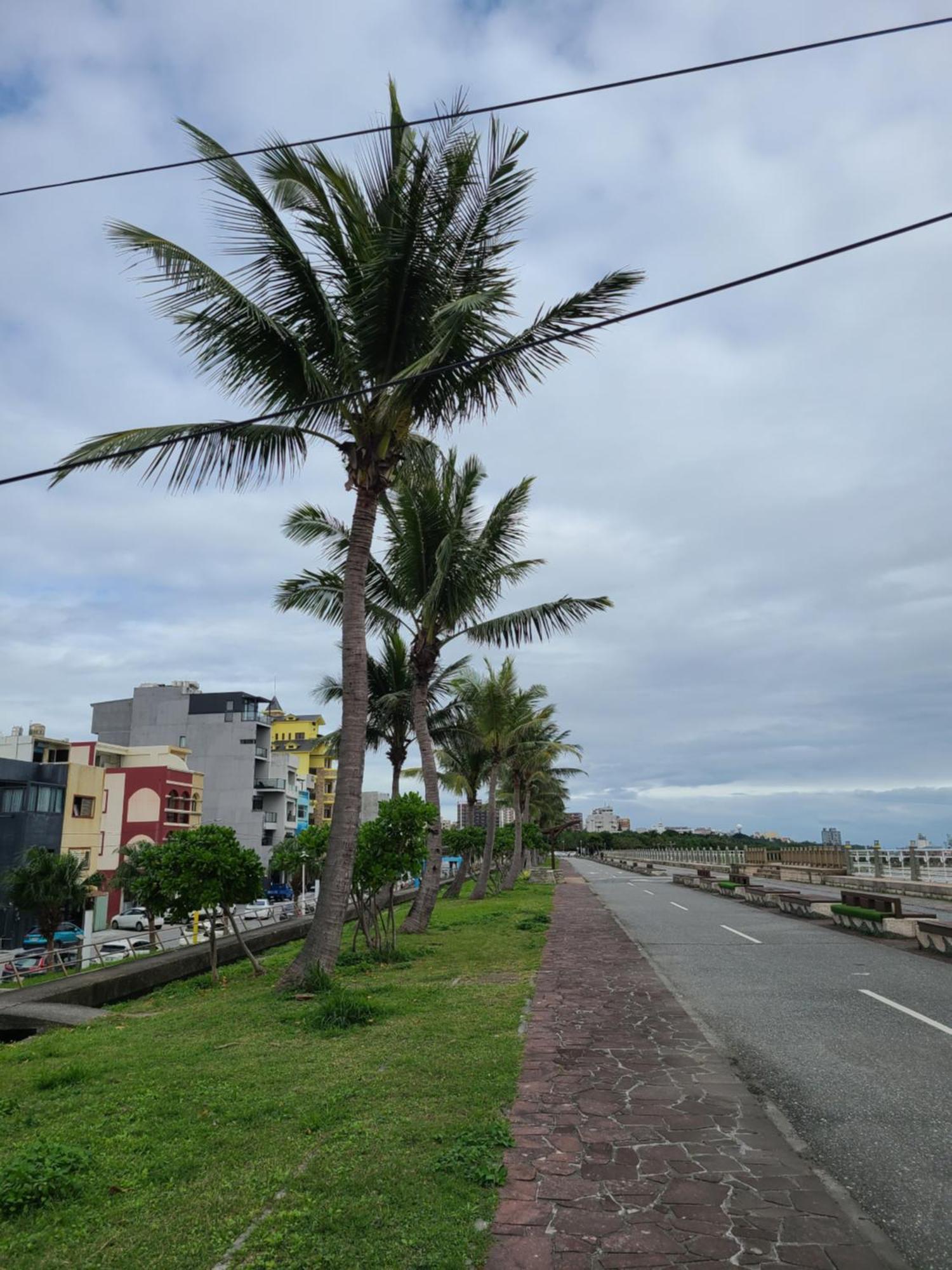 5 Loaves 2 Fish B&B Hualien City Bilik gambar