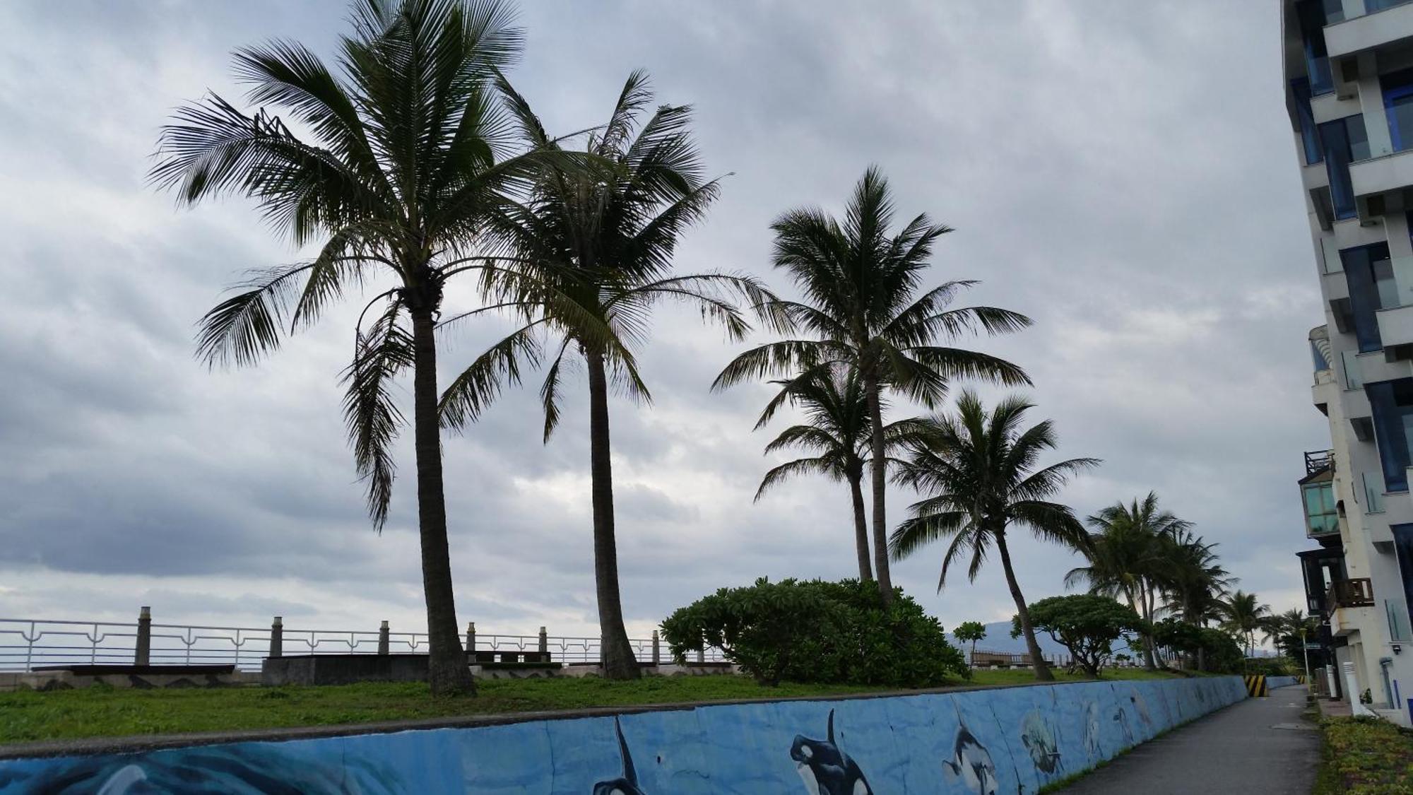 5 Loaves 2 Fish B&B Hualien City Bilik gambar